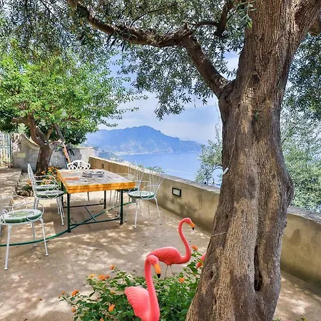 Le Olive Conca dei Marini